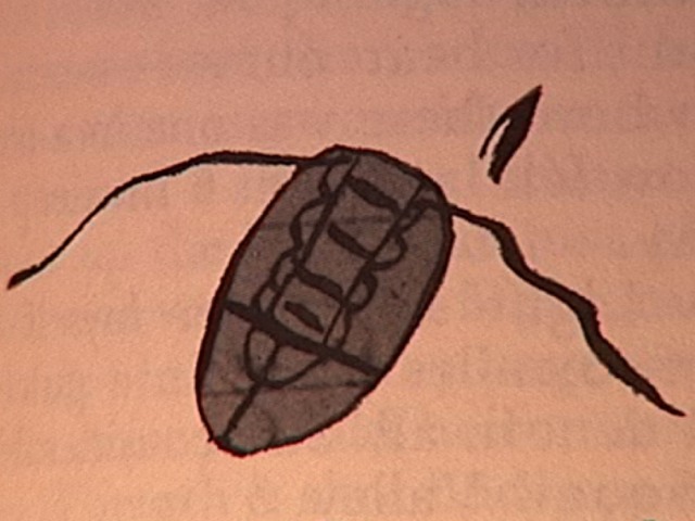 Joaquin Miller pics.137
